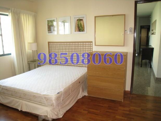 Canne Lodge (D14), Apartment #62554662